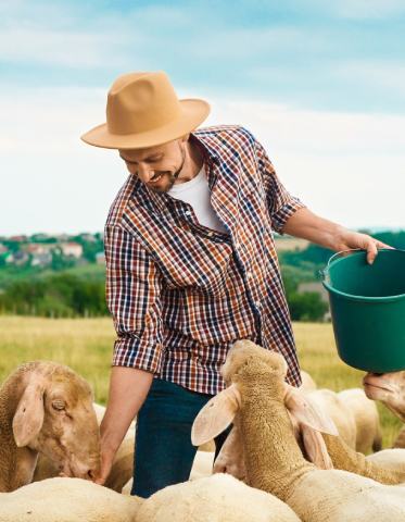 Nutritional Botanicals for Animals 373x480