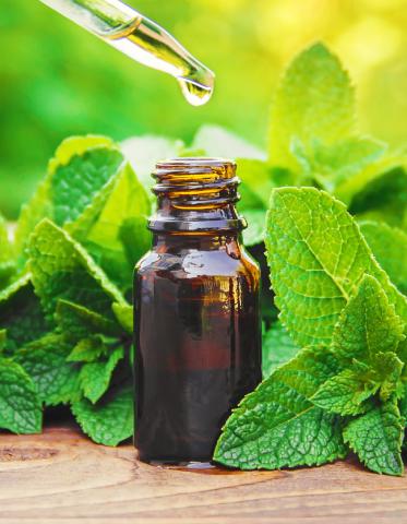 Flavours & Botanical Extractions 373x480