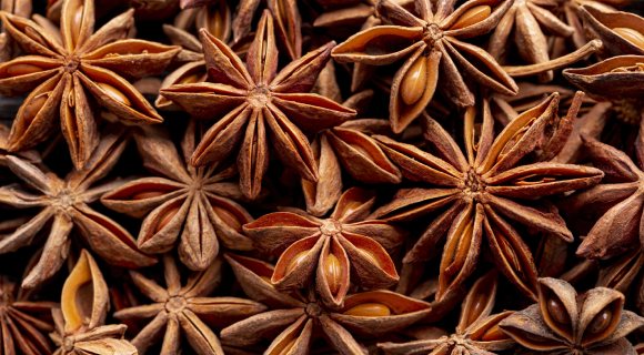 Serendib ingredients Herbs Top view of star anise spice 580x320